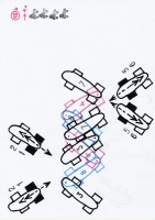 https://www.mathisvass.ch/files/gimgs/th-70_15b.jpg
