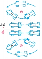 https://www.mathisvass.ch/files/gimgs/th-70_18.jpg