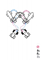 https://www.mathisvass.ch/files/gimgs/th-70_23.jpg