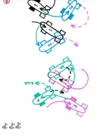 https://www.mathisvass.ch/files/gimgs/th-70_40b.jpg