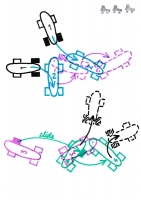 https://www.mathisvass.ch/files/gimgs/th-70_43d-L.jpg