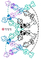 https://www.mathisvass.ch/files/gimgs/th-70_48.jpg