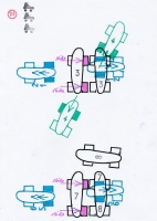 https://www.mathisvass.ch/files/gimgs/th-70_7f-L.jpg