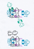 https://www.mathisvass.ch/files/gimgs/th-70_7f-R.jpg